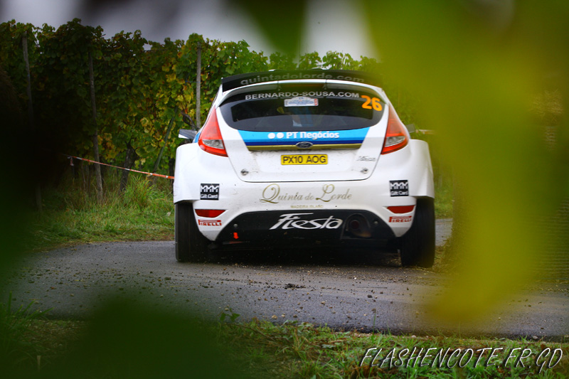 rallye de france wrc 971 copie.jpg